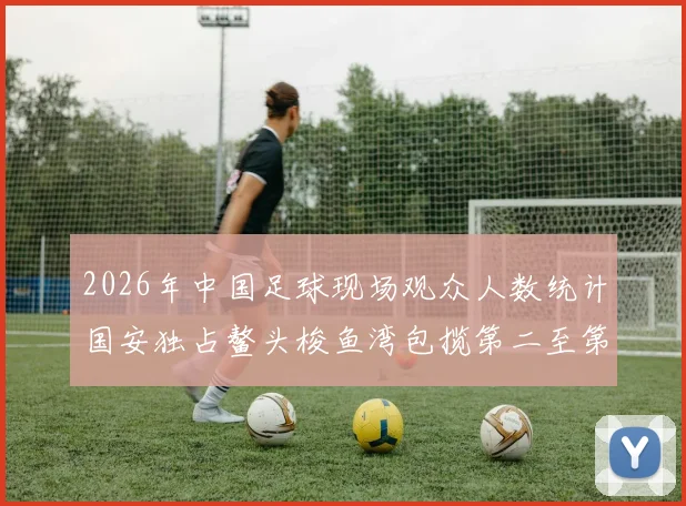 2026年中国足球现场观众人数统计国安独占鳌头梭鱼湾包揽第二至第七位